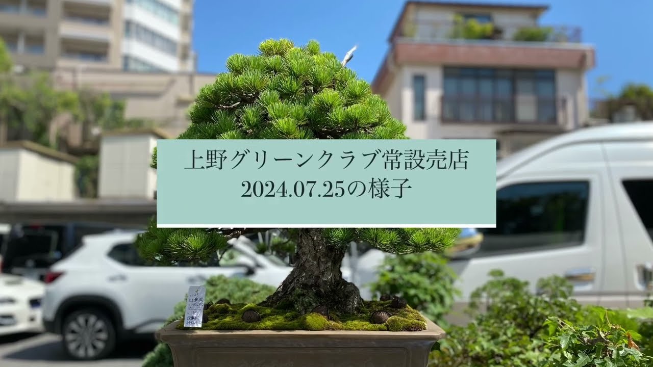 上野グリーンクラブ常設売店(2024.07.25) - YouTube