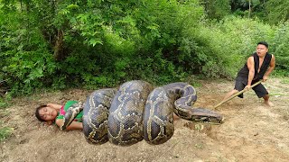 Primitive Life: Sleeping Meet Giant Anaconda Python Underground Crack - Skills Catch Big Python