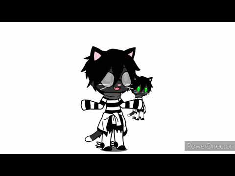 pelo peluche/meme/El gato
