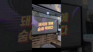 #숏힐링의 유레카(기돈-인계본점)#food#shorts