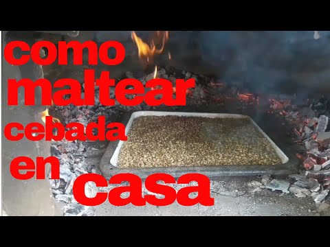 Video: Cómo maltear maíz (con imágenes)