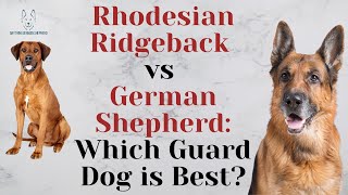 Rhodesian Ridgeback vs German Shepherd: Which Guard Dog is Best?