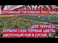 КУПИЛИ СЕБЕ ПЕРВЫЕ ЦВЕТЫ НА ТЕРРАСУ. ОБЗОР ЦЕН В ОГРОМНЫХ  ТЕПЛИЦАХ ДЛЯ РАССАДЫ