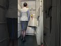 ANA CA 華のドアオープン