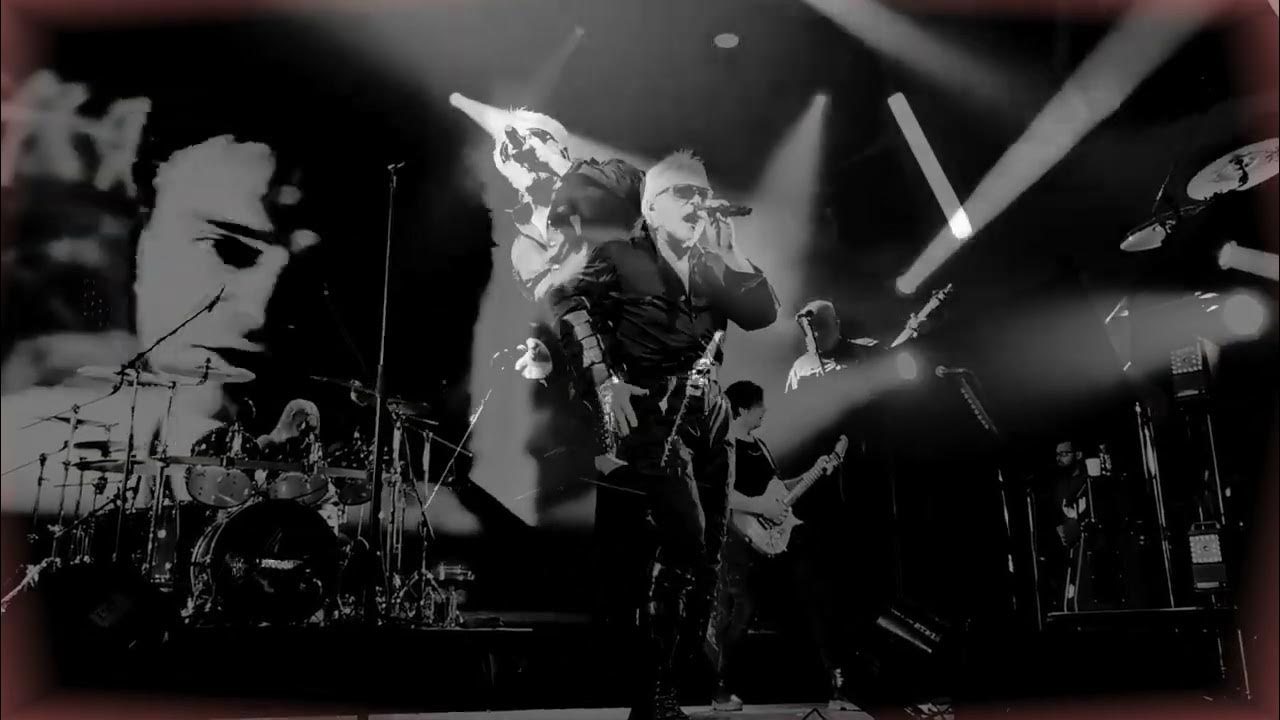 Мр-3 жизнь продолжается. У реборна сотрясение. Алиса. Алиса это больно. Алиса это больно.