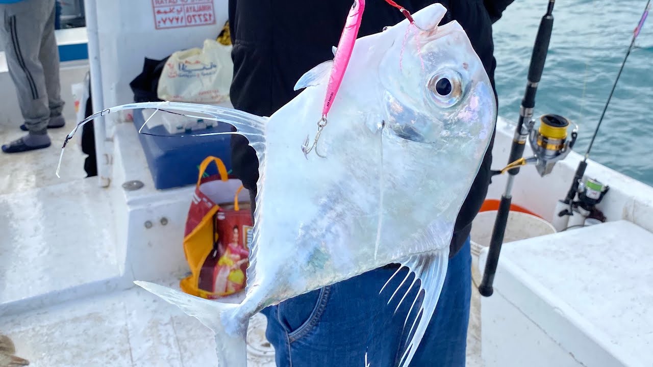 Offshore Fishing in Qatar King mackerel Cobia Trevally Feb 2020