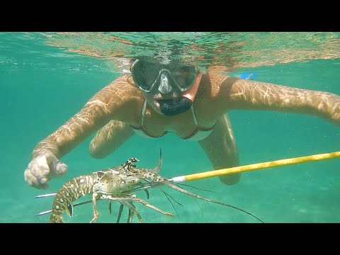 Видео: Chill Caribbean: Blowing In Abaco - Matador Network