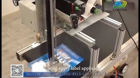 print and apply labeling machines,real-time labeling, shipping bills or other labels