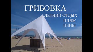 Грибовка. Летний отдых. Пляж. Цены.