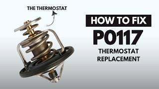 Thermostat Replacement: Fixing the P0117 Engine Error Code