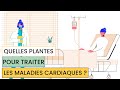 Quelles sont les  plantes cardiaques 