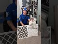 Dirty filter? Clean filter? Your system knows the difference #furnace .Swap yours out today.