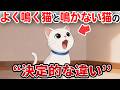 よく鳴く猫と鳴かない猫は何が違う？【猫雑学】