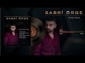 SABRİ ÖRGE - SEVDA PAZARI 2023