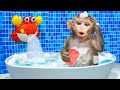 KiKi Monkey play Bubble bath in the toilet and eat yummy Ice cream with Ducklings | KUDO ANIMAL KIKI
