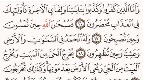 الصفحة رقم 406 الشيخ ماهر المعيقلي - القرآن الكريم - Quran