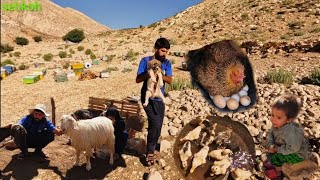 Nomadic Family Life in Iran | Goat Milking, Cooking &amp; Raising Chicks in the Zagros Mountains