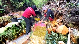 видео: ИССЛЕДУЙТЕ ЛЕС.!! ПОИСКИ ЗОЛОТА НА РЕКЕ АМАЗОНКА~ОХОТА СОКРОВИЩ ЗОЛОТА картинка: ИССЛЕДУЙТЕ ЛЕС.!! ПОИСКИ ЗОЛОТА НА РЕКЕ АМАЗОНКА~ОХОТА СОКРОВИЩ ЗОЛОТА
