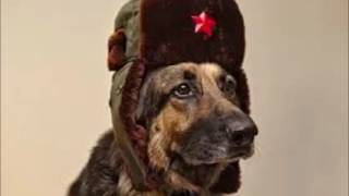 Communist Doggo Go Bork Bork