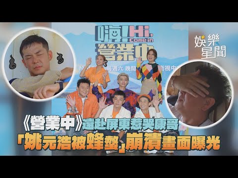 《營業中》遠赴屏東惹哭康哥 「姚元浩被蜂螫」崩潰畫面曝光｜三立新聞網 SETN.com