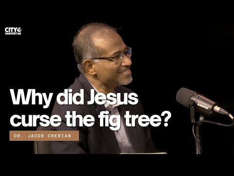 Wideo: Które drzewo przeklął bóg?