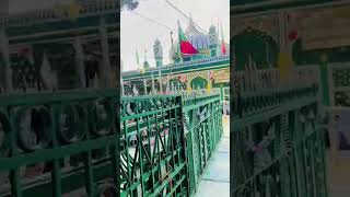 piran Kaliyar Sharif #dargahsabirpak #trending #love #trendingshorts #sabir #love