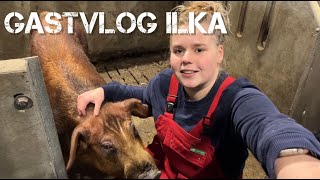 GASTVLOG ILKA - Een kijkje bij sperma-win-station Klasse KI