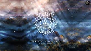 Dynamic Illusion - Experience