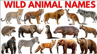 25 Janwaro ke name | 50wild animals name hindi and english | जंगल मे रहने वाले जानवर |janwaro name