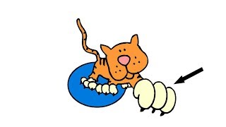 claw,capperclaw-noun ASL