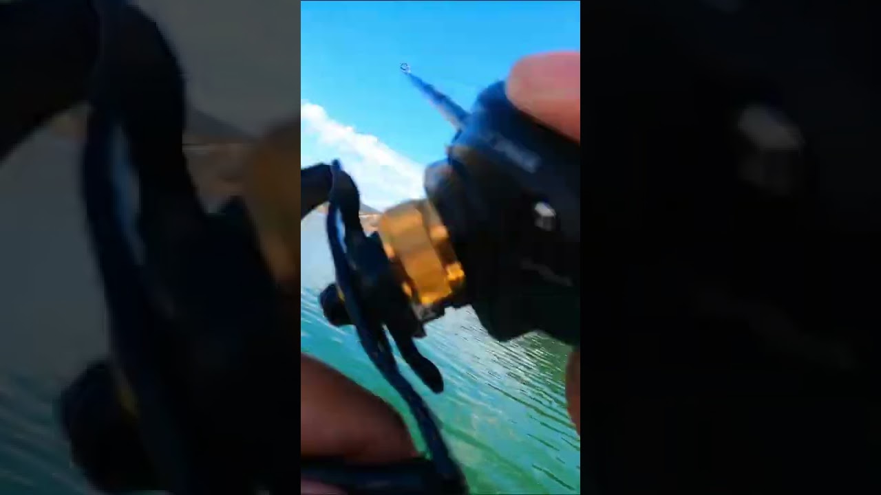 This Double Buzzbait Makes Some Noise! 🐝 Video LIVE now!