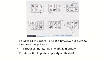 PSYCH360 Cognitive Processes, Online Module 6, 6 Executive Processes Monitoring