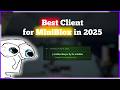 MINIBLOX CANT PATCH THIS FLY IN 2026?! ft. JoLean Client 😏| vyylex