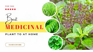 Best Highly Useful Medicinal Plants | Best Herbs plants | Best Medicine Plants