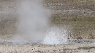 Rejuvenated Geyser (2025)
