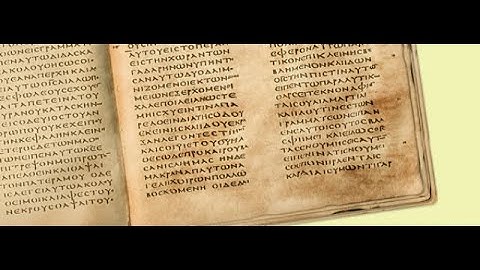 The Early codex by Larry Hurtado