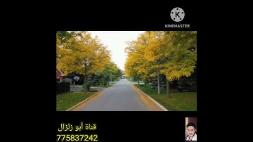 اجمل حالات واتس....قران كريم...ايات قصيره...جمال الطبيعه...تلاوه ...صوت رائع جدا