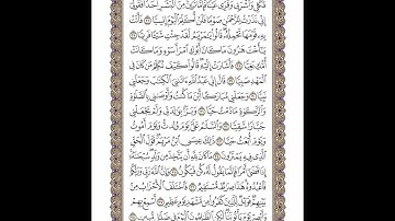 الوجه 307 من القرآن مكرر ١٠ مرات مع الآيات | سورة مريم | الشيخ خليفة الطنيجي