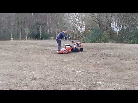 Grass seeding