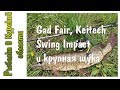 Gad Fair, Keitech Swing Impact и первая крупная щука