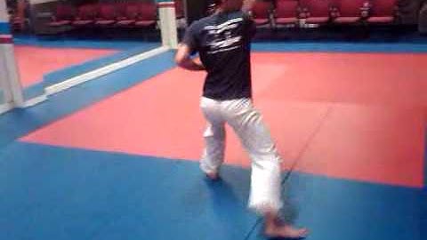 Intermediate Motion Number 5 Tang So Doo -  Pyung Ahn Oh Dan