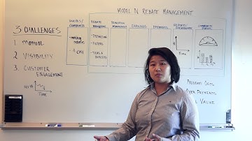 Model N Rebate Management Solution