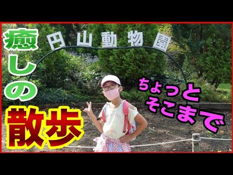 109話　円山公園と円山動物園を案内するよ〜VLOGカメラ購入記念〜