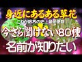 これが限界!史上最多更新の80種!今さら人に聞けない旬の花の名前【身近にあるある草花】一期一会の草花との出会い!毎日同じ草花と出会っても、日々変化しています。初登場の花多数で過去の動画一切使用なし。