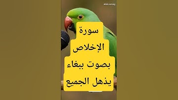 تلاوة قرٱنية لا مثيل لها بصوت ببغاء يتحدث كالأطفال