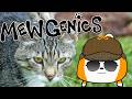 【Mewgenics】I was supposed to be a ghostbuster today. but they delayed my first day till tomorrow