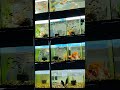 aquarium fish tank