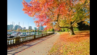 Morning Leaves of Mindfulness with Bhante Kusala 7 am EST Daily BASED ON A TRANSCRIPT OF SAM HARRIS