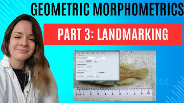 Geometric Morphometrics: Part 3 Building and Landmarking