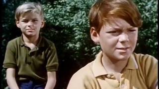 The Forest Rangers S1e01 The Foster Boy